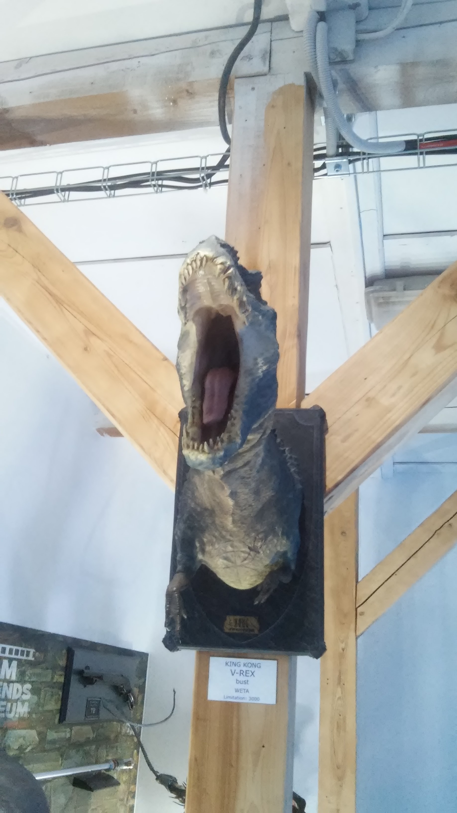 T-REX