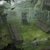 tomb-raider-underworld-enviornments-16_29277012200_o.jpg
