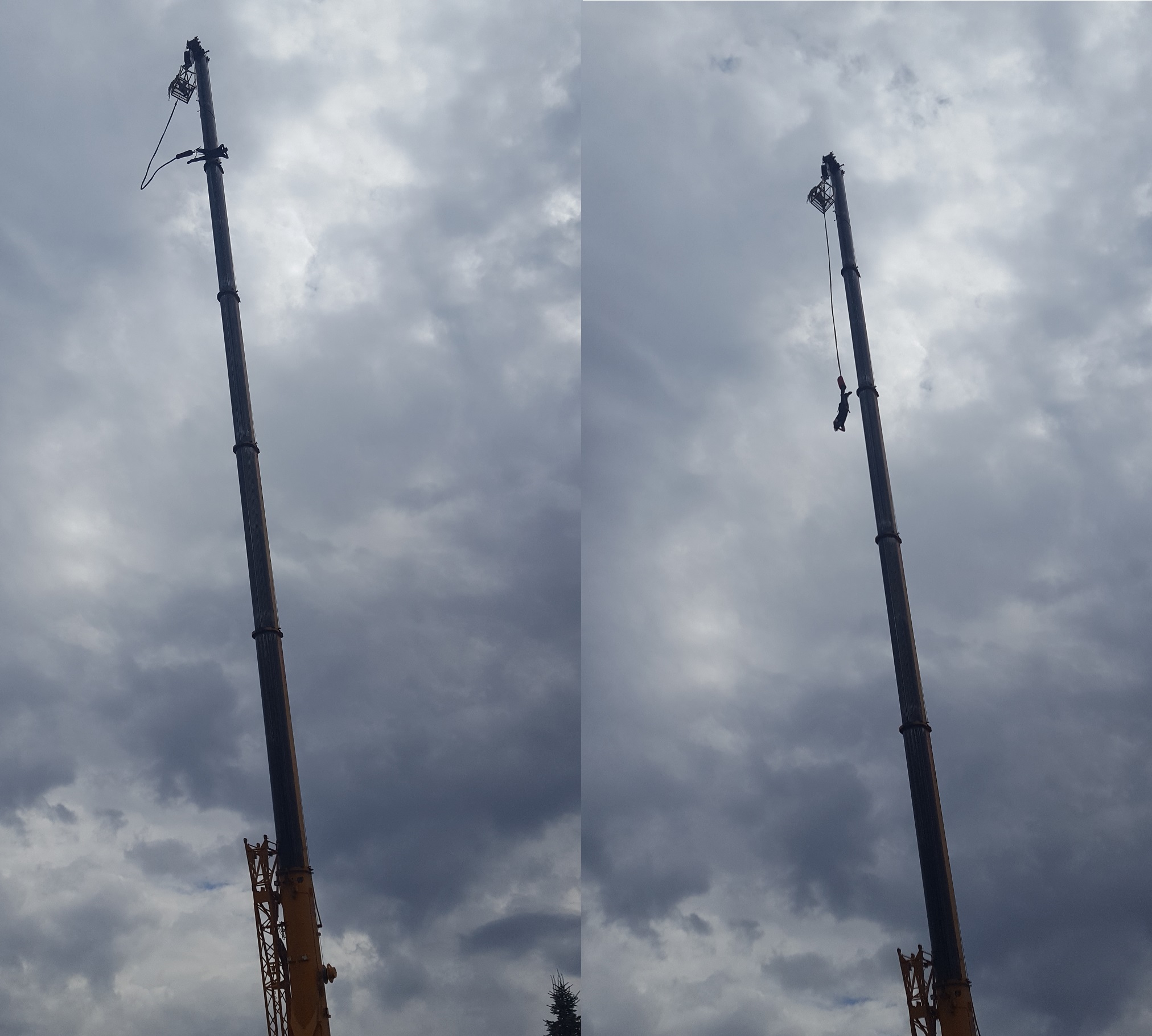 bungee03